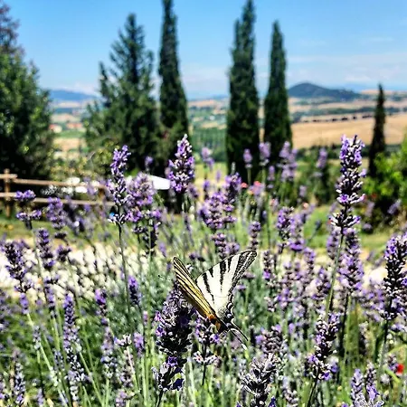 Il Poggio Di Fiore 3*
