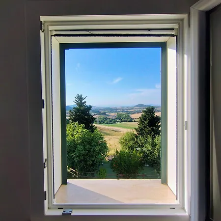 Il Poggio Di Fiore