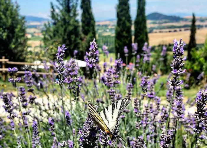 Il Poggio Di Fiore 3*