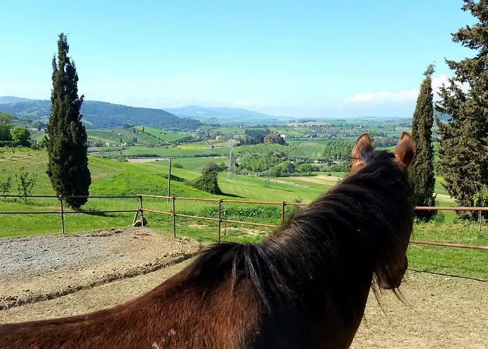 Il Poggio Di Fiore ベッド・アンド・ブレックファスト