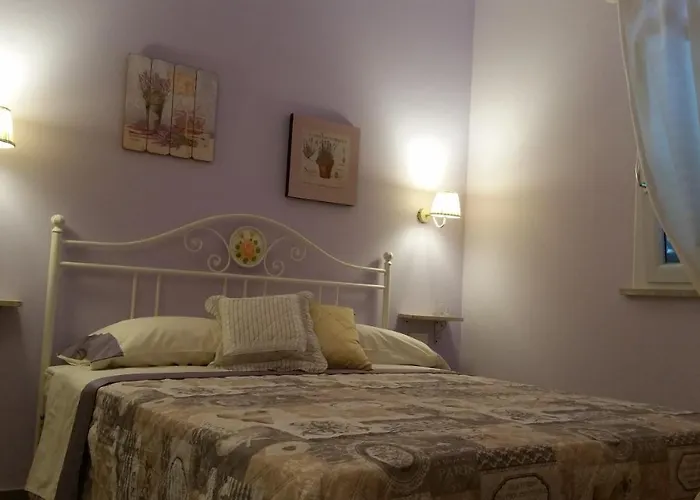 Il Poggio Di Fiore